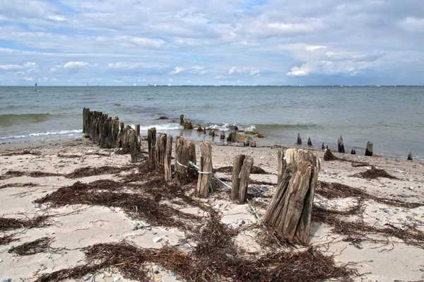 Quebra Mares Praia Mar Baltico — Fotografia de Stock