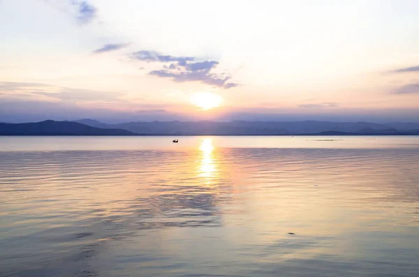 Ekosistem Ekosistem Toplumun Tek Bir Alanından Oluşan Bir Birim Anlamına — Stok fotoğraf