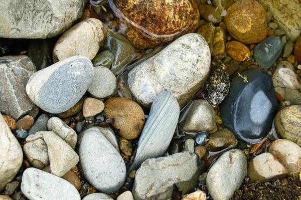 Pebbles Riacho Arthur Pass Ilha Sul Nova Zelândia — Fotografia de Stock