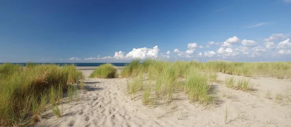 View Dunes Sandy Beach North Sea — 图库照片