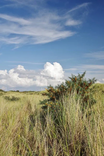 View Dunes — Stock Photo, Image