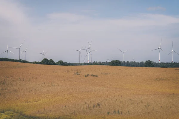 Windkraftanlagen Windpark Vordergrund Ein Maisfeld — Stockfoto