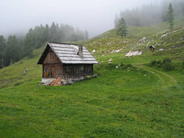 Brouillard Sur Alm Ploner Dans Carinthie — Photo