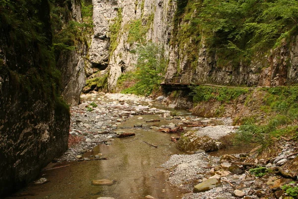 Gorge Mauthner Dans Carinthie — Photo