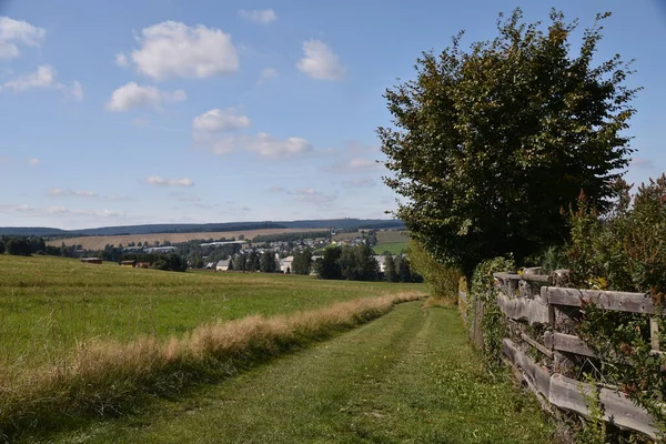 Faiskolanövény Kerítése Erzgebirge Ben Vízgyűjtő Területén Crottendorf Hoz Vezető Földúton — Stock Fotó