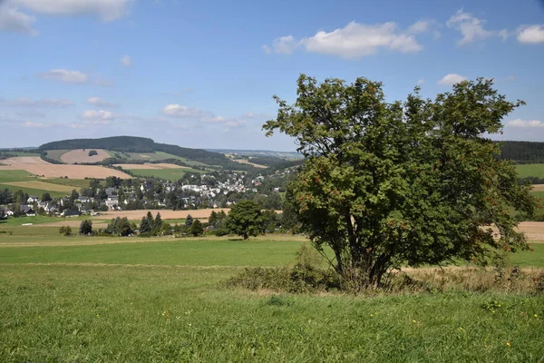 Widok Crottendorf Górach Rudy Plastrami Tle Rowanberry Popiół Górski Pierwszym — Zdjęcie stockowe