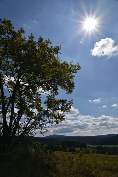 Fågelölsträd Fjällaska Bakgrundsljuset Vid Fichtelbergshorisonten — Stockfoto