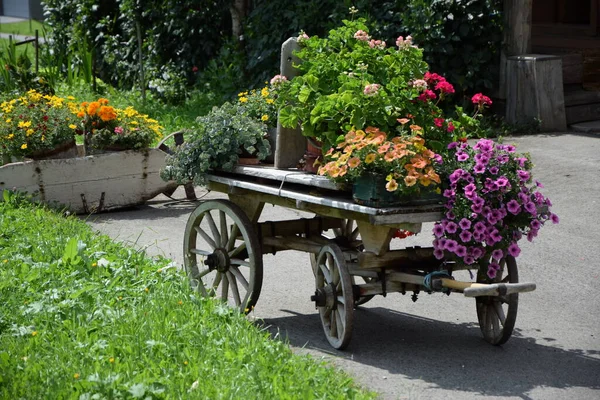 Koszyk Kompozycje Kwiatowe Koszyk Drewniane Wózki Kwiaty Malownicze Malownicze Ogród — Zdjęcie stockowe