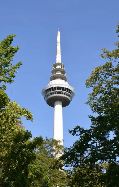 Eğreltiotu Rapor Kulesi Mannheim — Stok fotoğraf