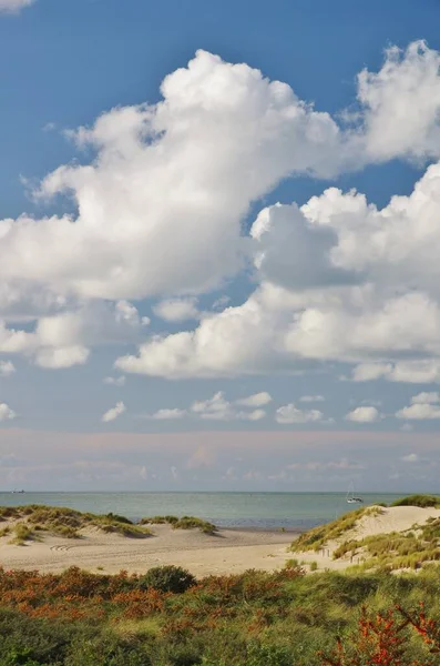 Dünen Mit Sanddornbüschen Sandstrand Und Nordsee Bei Banjaard Noord Beveland — Stockfoto
