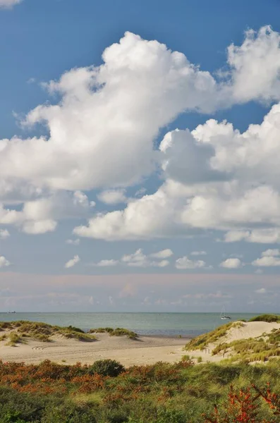 Duinen Met Duindoornstruiken Zandstrand Noordzee Bij Banjaard Noord Schuin Zeeland — Stockfoto