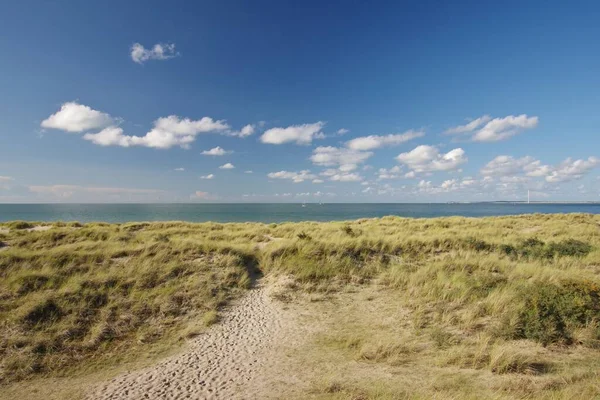 Dunas Playa Arena Mar Del Norte Banjaard Noord Beveland Zeeland —  Fotos de Stock