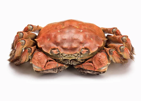 Crabe Parfait Isolé Sur Fond Blanc Avec Chemin Coupe Pleine — Photo