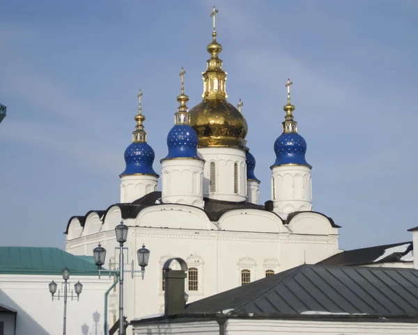 Тобольский Кремль Софийский Собор Фотографии Куполов — стоковое фото