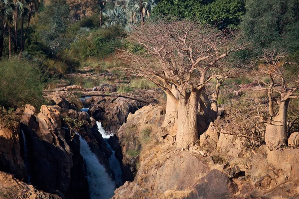 Природный Поток Воды Водопад — стоковое фото