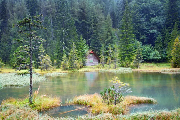 Lago Verde Idílico Com Uma Cabine Nas Proximidades — Fotografia de Stock