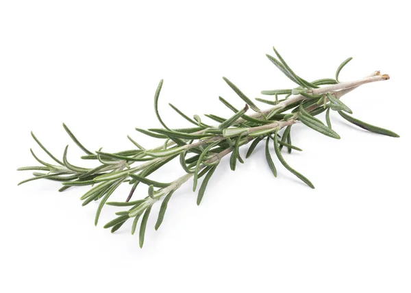 Rosemary Perfeito Isolado Fundo Branco Profundidade Total Campo Com Caminho — Fotografia de Stock