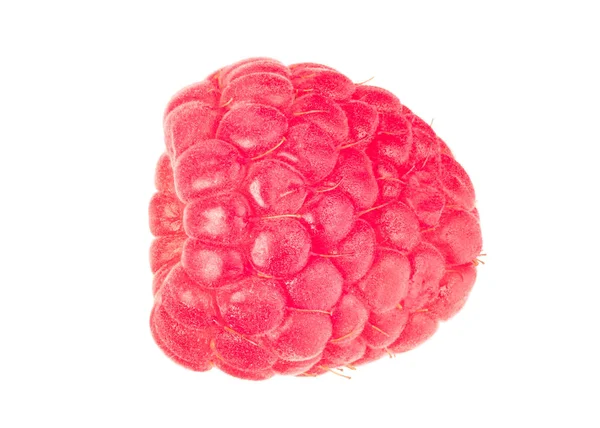 Fresh Red Raspberry Isolated White Background Clipping Path Full Depth — Stock Photo, Image