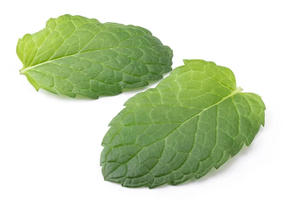 Perfect Green Mint Leaf Απομονωμένο Λευκό Φόντο Πλήρες Βάθος Πεδίου — Φωτογραφία Αρχείου