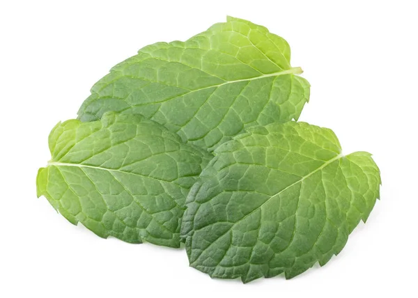 Perfect Green Mint Leaf Απομονωμένο Λευκό Φόντο Πλήρες Βάθος Πεδίου — Φωτογραφία Αρχείου