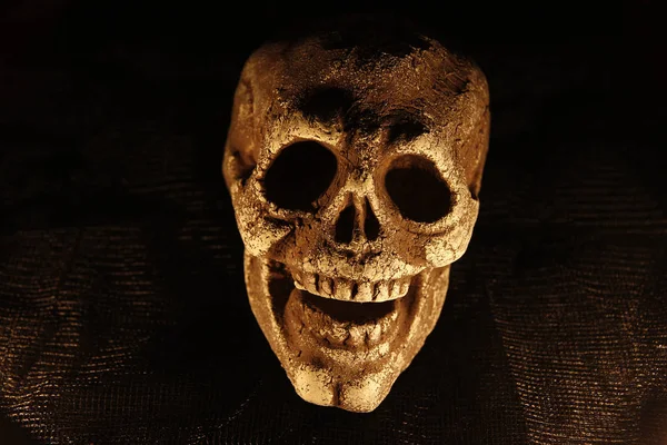 Crânio Humano Plástico Com Tomadas Olhos Escuros Para Halloween — Fotografia de Stock