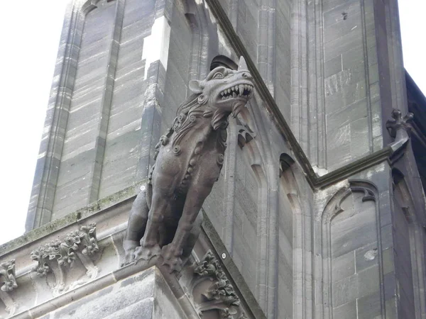 Des Images Détaillées Cathédrale Cologne — Photo