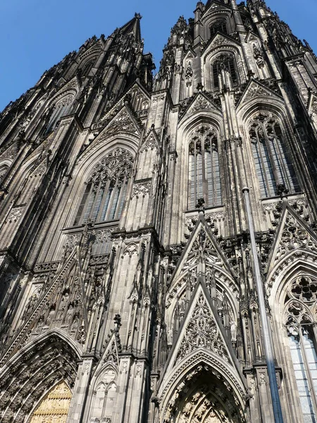 Deel Van Cologne Kathedraal — Stockfoto