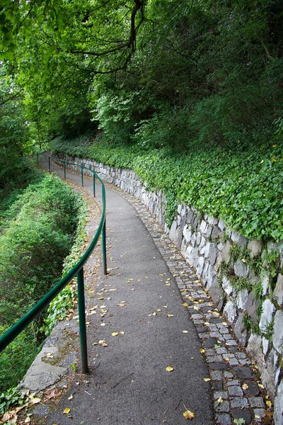 Štýrsko Hornatý Zalesněný Stát Jižním Rakousku — Stock fotografie