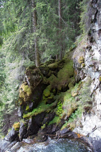 Rocas Con Árboles Junto Río Bosque Estiria Durante Día — Foto de Stock