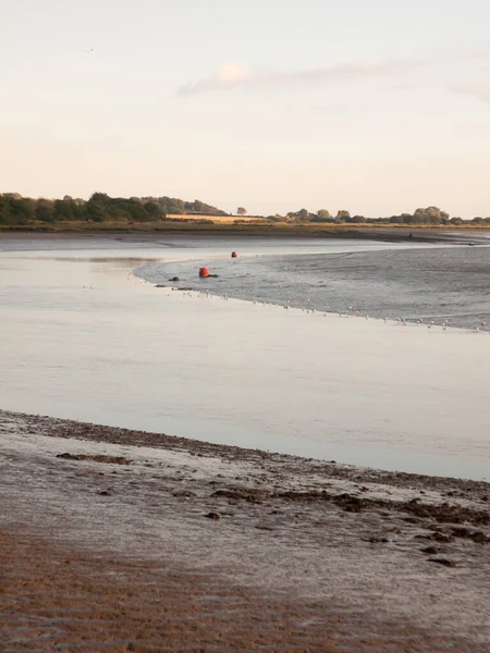 Paesaggio Della Scena Paese Del Fiume Con Marea Degli Uccelli — Foto Stock