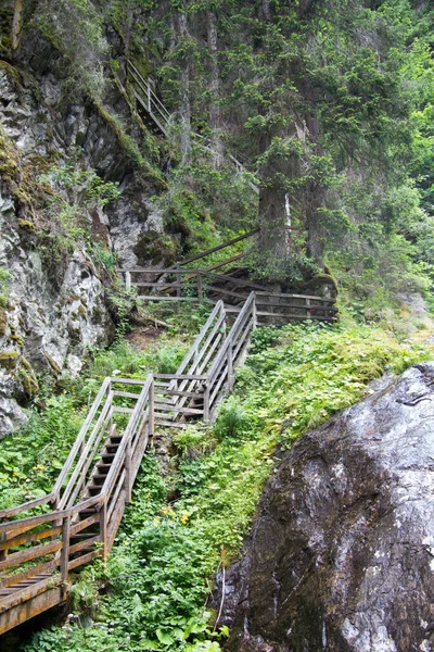 Befestigter Gehweg Aus Holz Wilder Natur Ohne Personen Der Steiermark — Stockfoto