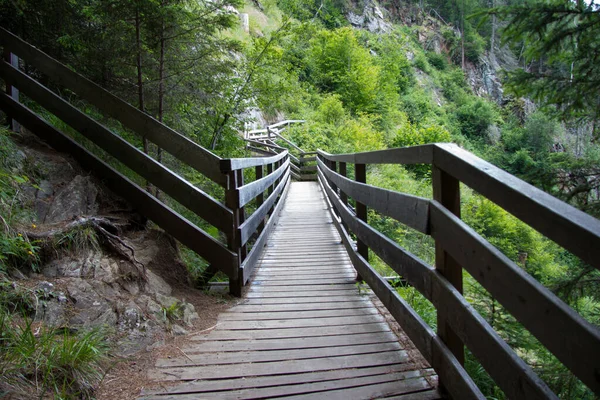 Fastened Walkway Made Wood Wild Nature Persons Styria Day — Stock Photo, Image