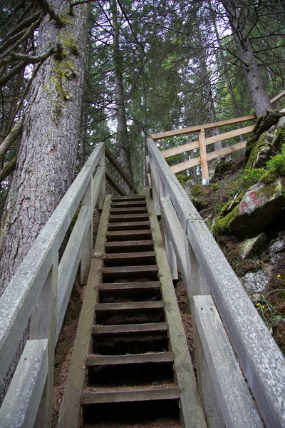 Vastgemaakte Wandelweg Van Hout Wilde Natuur Zonder Personen Stiermarken Dag — Stockfoto