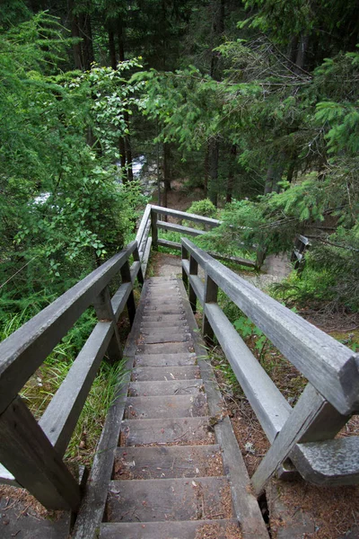 Vastgemaakte Wandelweg Van Hout Wilde Natuur Zonder Personen Stiermarken Dag — Stockfoto