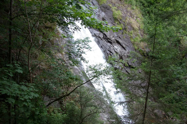 Cascade Dans Une Forêt Par Branches Partiellement Obscurcies Jour — Photo