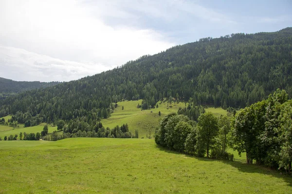 Krajobraz Łąkami Lasami Styrii Ciągu Dnia — Zdjęcie stockowe