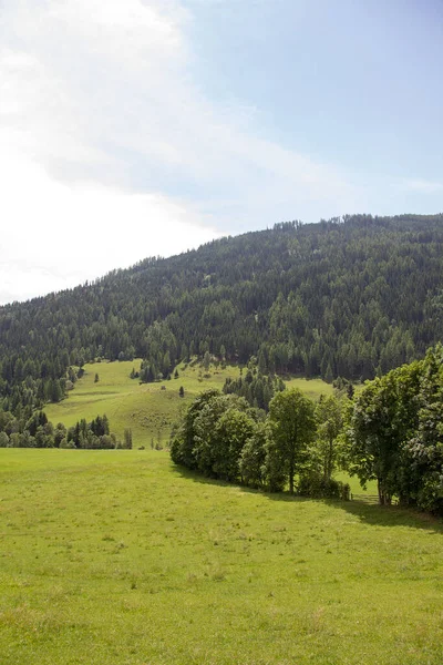 Landscape Meadows Forests Styria Day — Stock Photo, Image