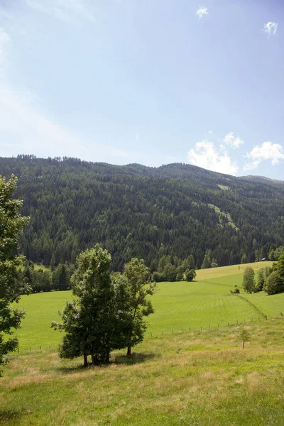 Landskap Med Ängar Och Skogar Stirien Dagen — Stockfoto