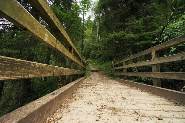 Ponte Sulle Alpi Tirolesi — Foto Stock