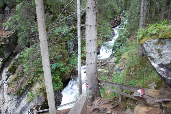 Trottoir Bois Pavé Avec Cascade Dans Une Forêt Style Pendant — Photo