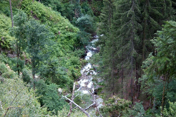 Rio Uma Floresta Styria Dia — Fotografia de Stock