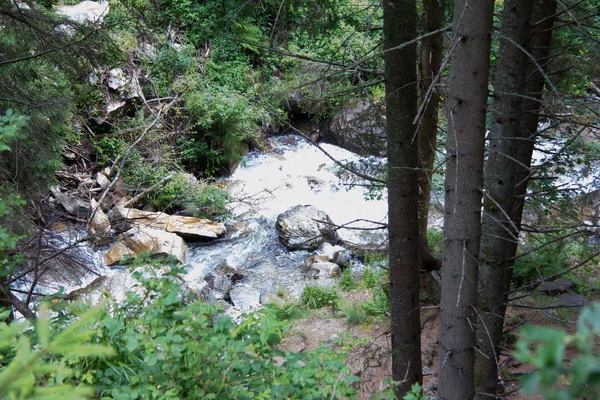 Rio Uma Floresta Styria Dia — Fotografia de Stock