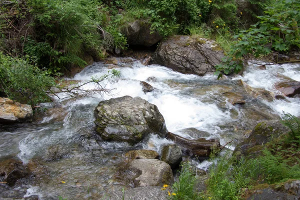 Rio Uma Floresta Styria Dia — Fotografia de Stock