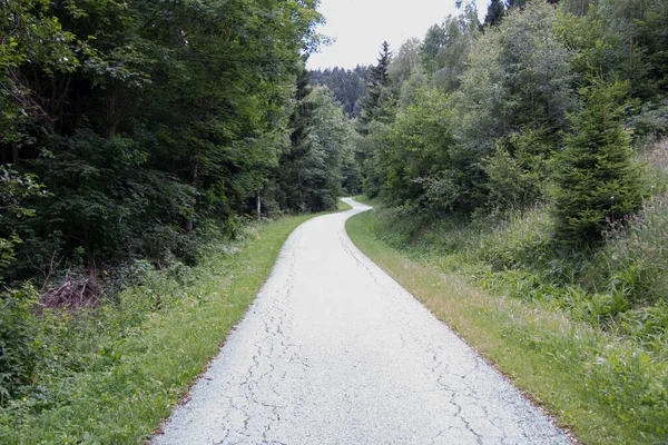 Camino Asfaltado Estrecho Entre Bosques Durante Día Verano Estiria — Foto de Stock