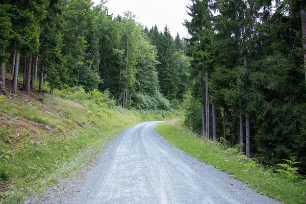 Droga Żwirowa Ciągu Dnia Lecie Między Lasami Styrii — Zdjęcie stockowe