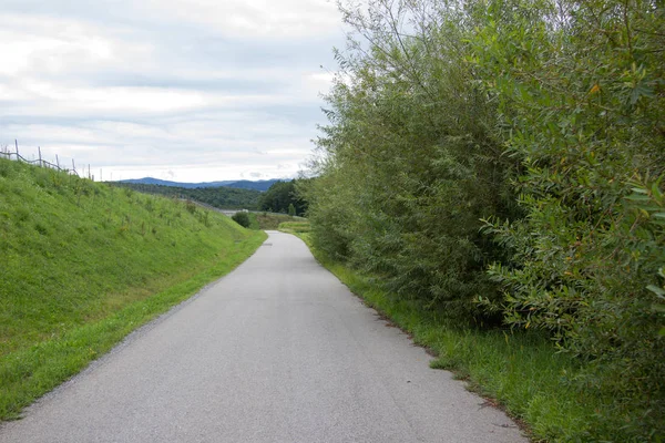 Tom Asfalterad Väg Mellan Gröna Gränser Sommaren Dagen Styria — Stockfoto