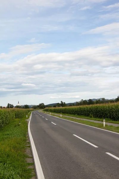 Vuota Strada Campagna Tra Campi Grano Durante Giorno Estate Stiria — Foto Stock