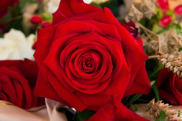 Czerwonawe Róże Kwiatowym Układzie — Zdjęcie stockowe
