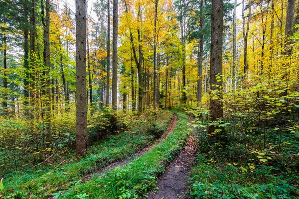 Vacker Natur Bayern — Stockfoto