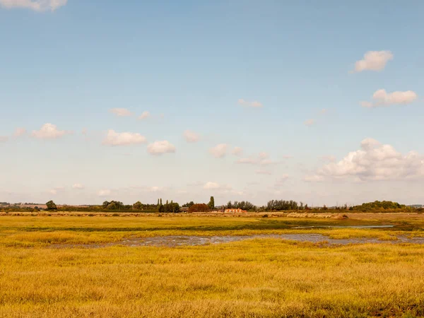 青い空雲草で囲まれた開けた湿地の風景 — ストック写真
